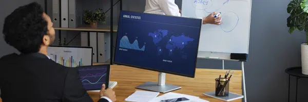 BI Standardization Development