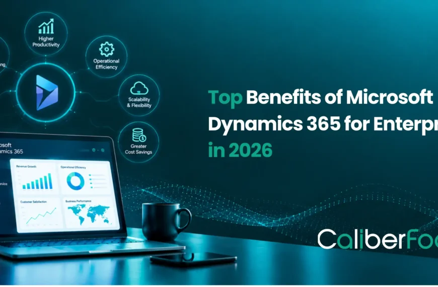 Microsoft Dynamics 365 for Enterprises