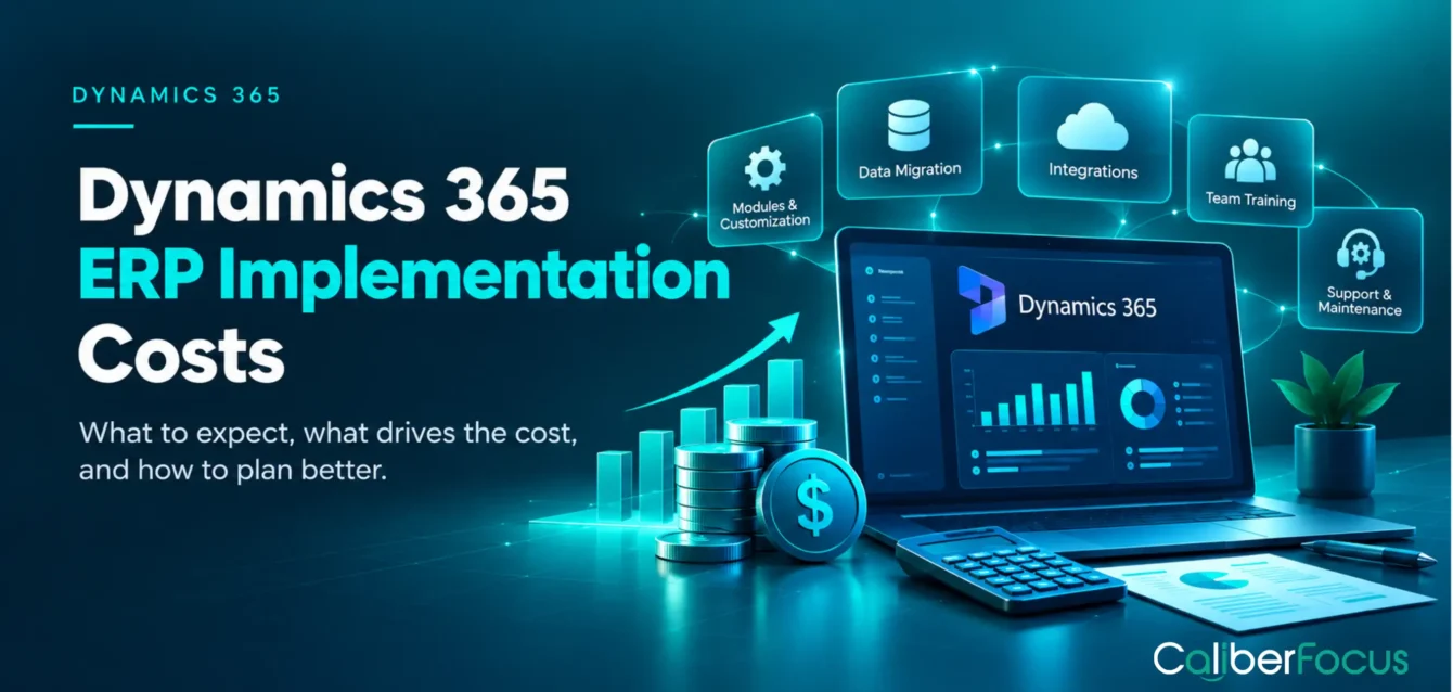 ERP Implementation Cost