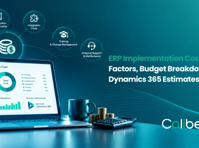 ERP Implementation Cost: